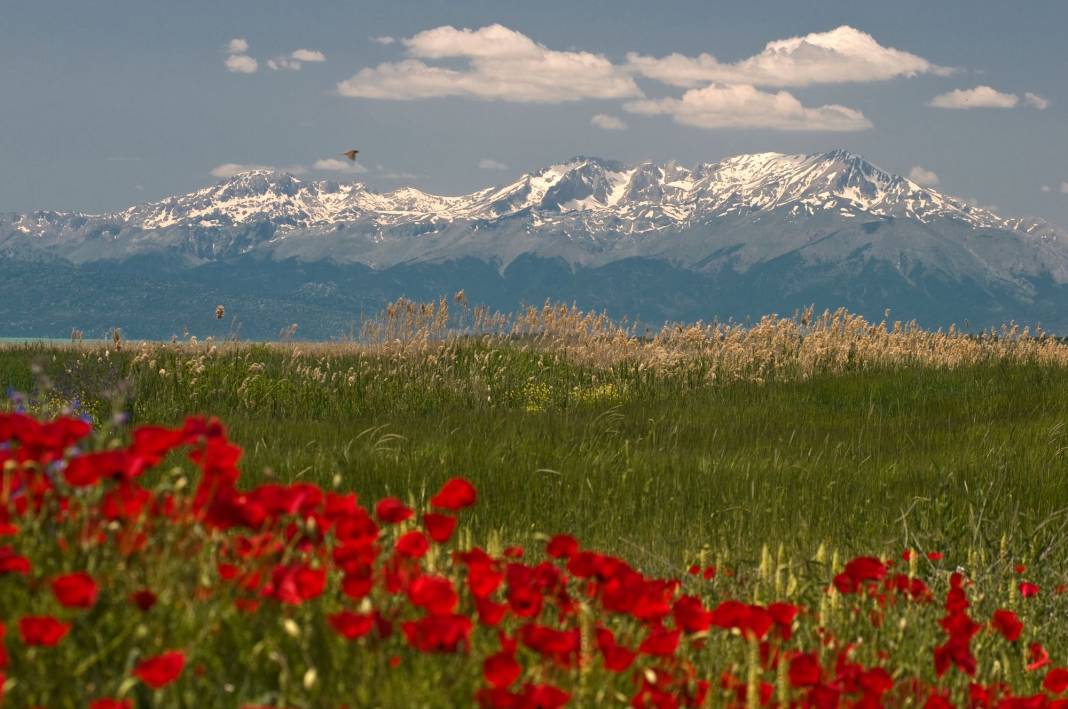 Beyşehir’de gezilecek yerler nelerdir? 33
